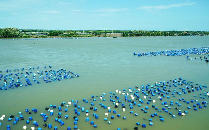 Vĩnh Long định hướng phát triển công nghiệp nuôi trồng thủy sản công nghệ cao tại các địa phương ven biển. 