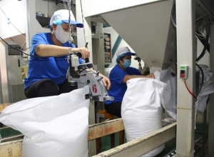Thúc đẩy xuất khẩu nông, lâm, thủy sản năm 2025