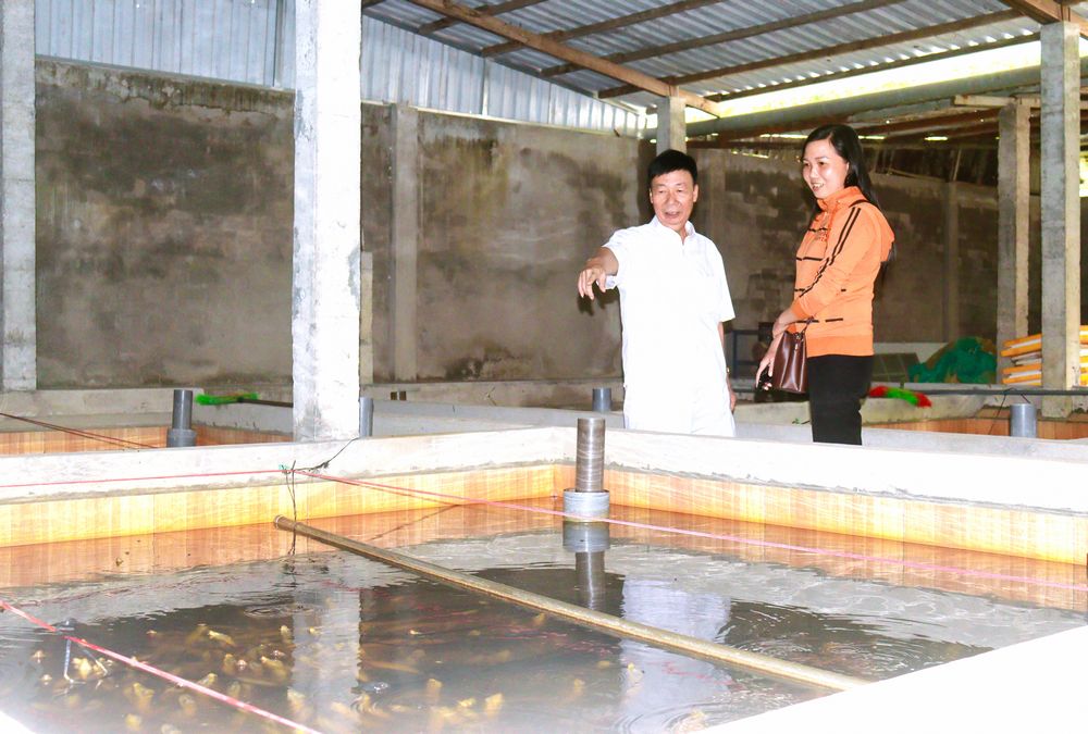 Mô hình nuôi lươn không bùn của chú Vũ Phục Hưng mang lại hiệu quả kinh tế ổn định.