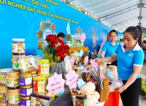 Trưng bày 22 gian hàng sản phẩm khởi nghiệp của phụ nữ