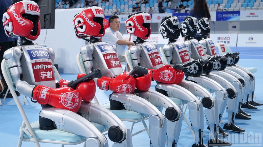  Các vận động viên đấm bốc robot hình người trước giờ thi đấu.