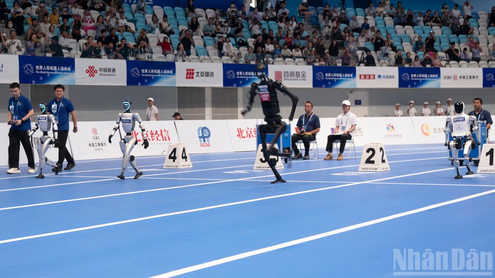  Nội dung thi đấu chạy 100m.