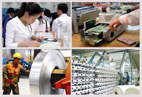 Thực hiện tổng điều tra kinh tế từ 5/1/2026.