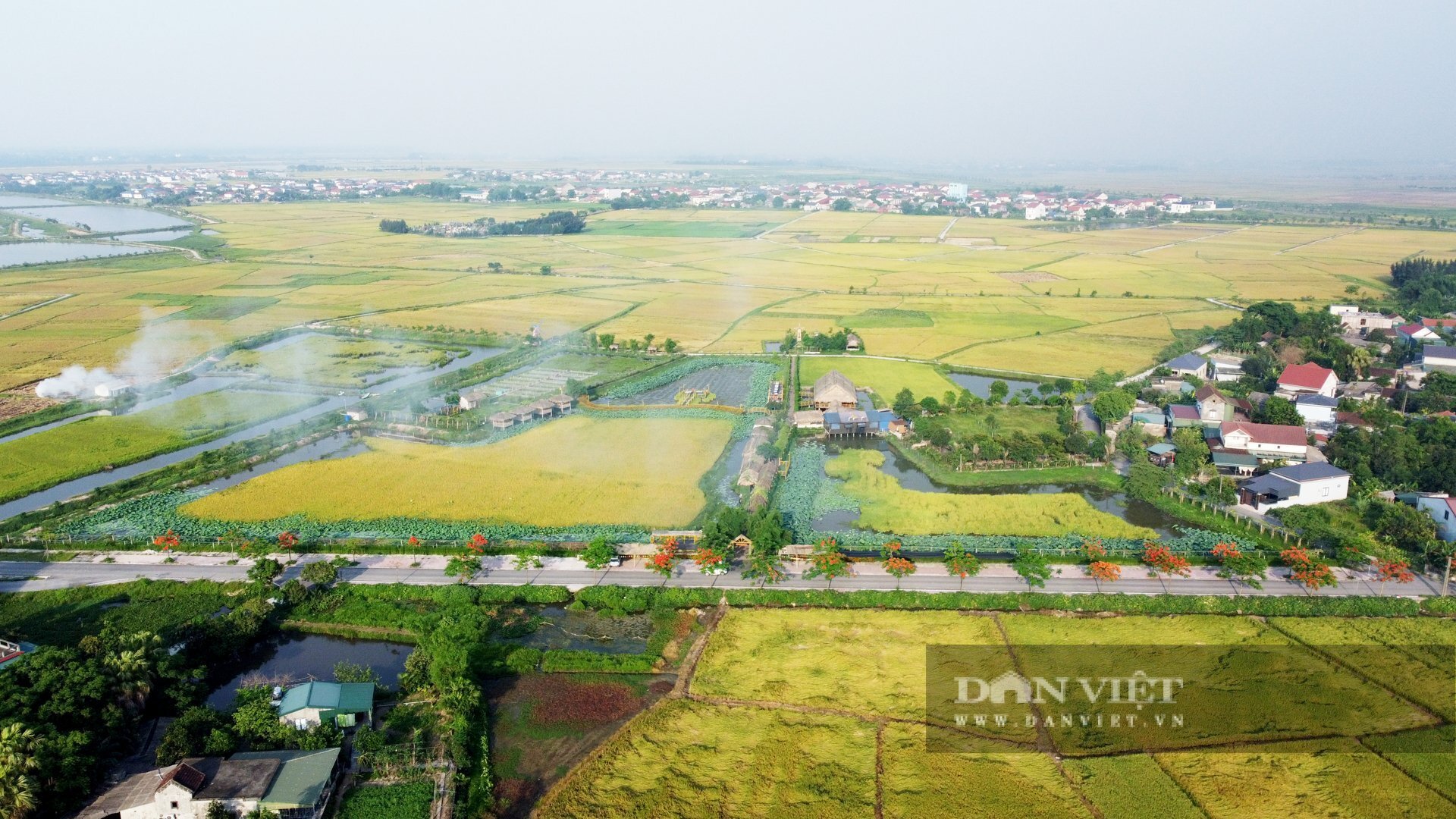 Hợp tác xã Nông nghiệp và Dịch vụ Tổng hợp Liên Nhật tại thôn Liên Nhật, phường Trần Phú (tỉnh Hà Tĩnh), đang triển khai mô hình kinh tế nông nghiệp “3 trong 1” sáng tạo và hiệu quả. Ảnh: PV