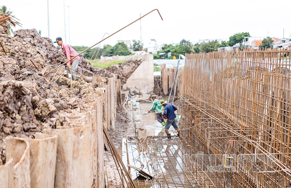 Công nhân tích cực thi công ở công trình Kè chống sạt lở bờ sông Láng Thé.

