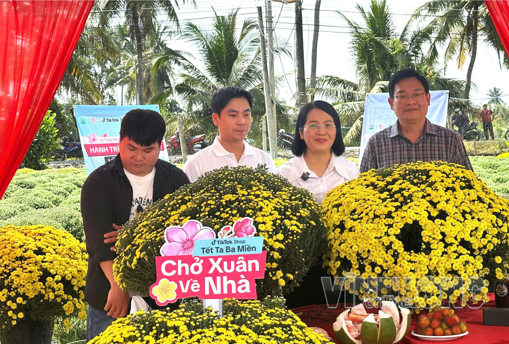 Bà Lê Thị Hoàng Oanh- Bí thư Đảng ủy xã Chợ Lách tham gia phiên livestream bán hoa cúc cùng người dân dịp Tết Nguyên đán 2026.

Ảnh: CẨM TRÚC


