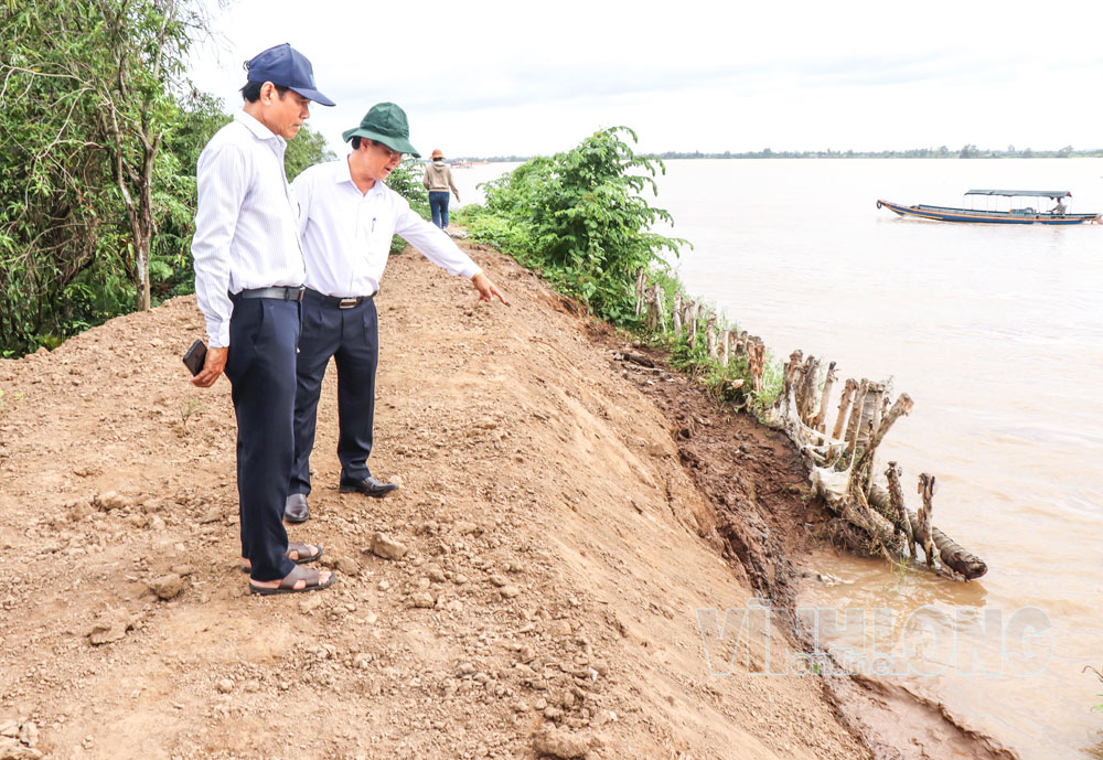 Lãnh đạo UBND tỉnh khảo sát hiện trạng điểm sạt lở xã Quới Thiện.

