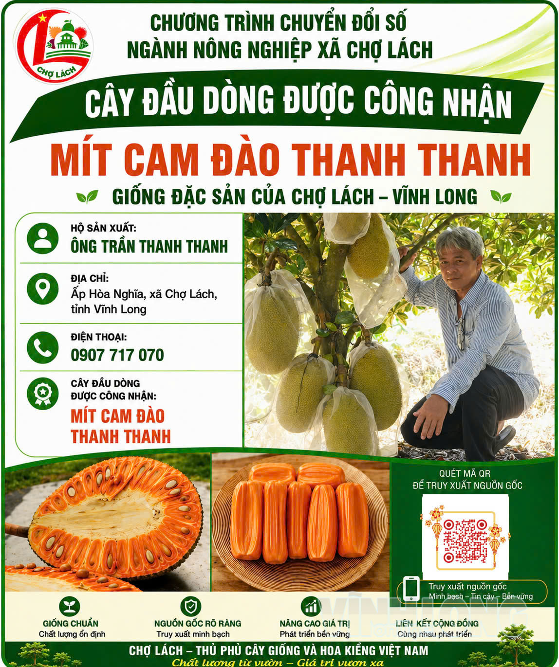 Cây đầu dòng trên địa bàn xã Chợ Lách được số hóa, góp phần nâng cao hiệu quả quản lý và truy xuất nguồn gốc.