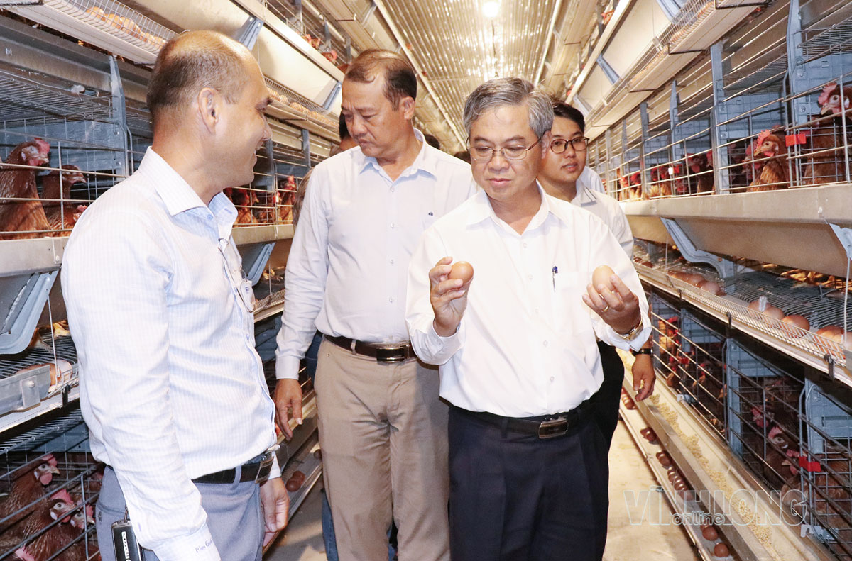Phó Chủ tịch UBND tỉnh Châu Văn Hòa (bên phải) trao đổi về quy trình nuôi gà đẻ trứng tại công ty.