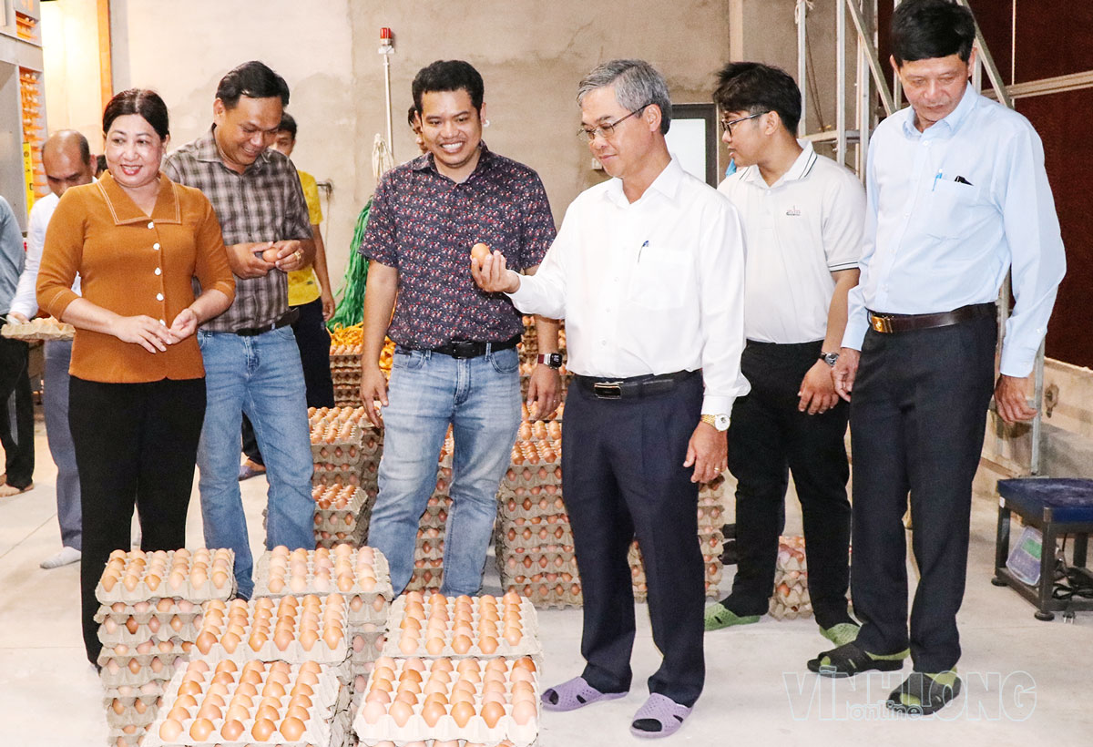 Đoàn khảo sát nuôi gà công nghệ cao tại công ty.