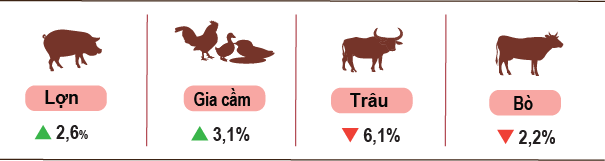 Tốc độ tăng, giảm số lượng gia súc, gia cầm cuối tháng 7/2026 so với cùng thời điểm năm 2025. (Nguồn: Cục Thống kê)
