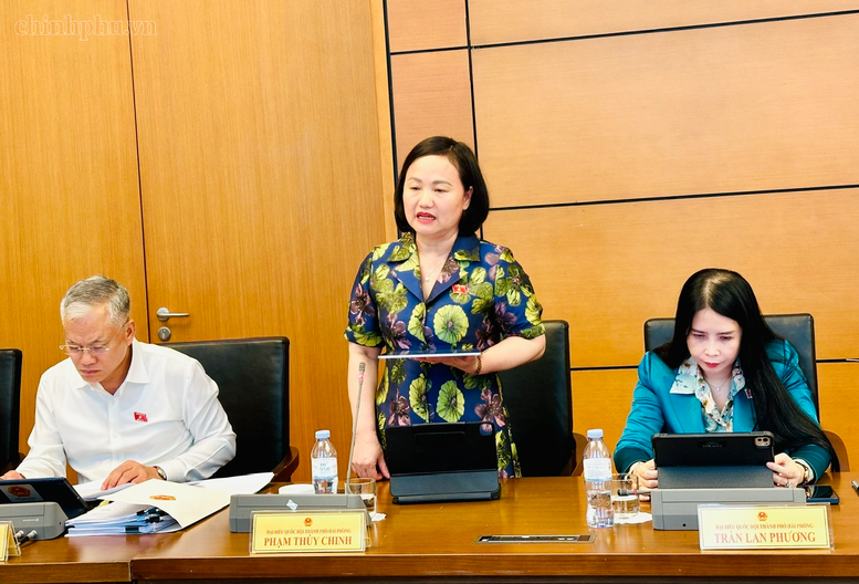 Đại biểu Phạm Thúy Chinh (TP. Hải Phòng) nêu ý kiến tại phiên họp - Ảnh: VGP/Diệu Anh

