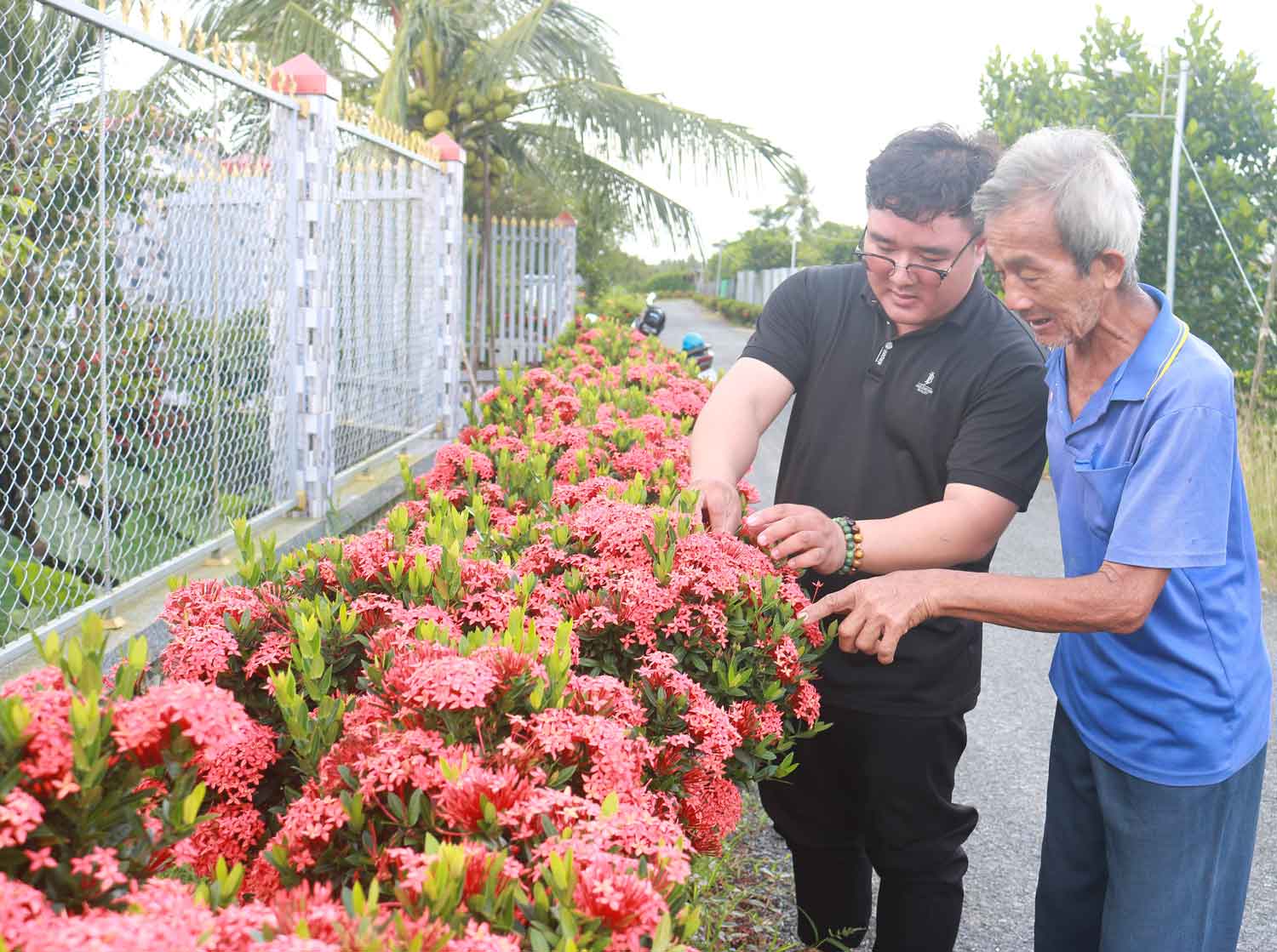 Người dân chung tay trồng hoa, làm đẹp cảnh quan, đổi thay diện mạo xã Bình Phước.