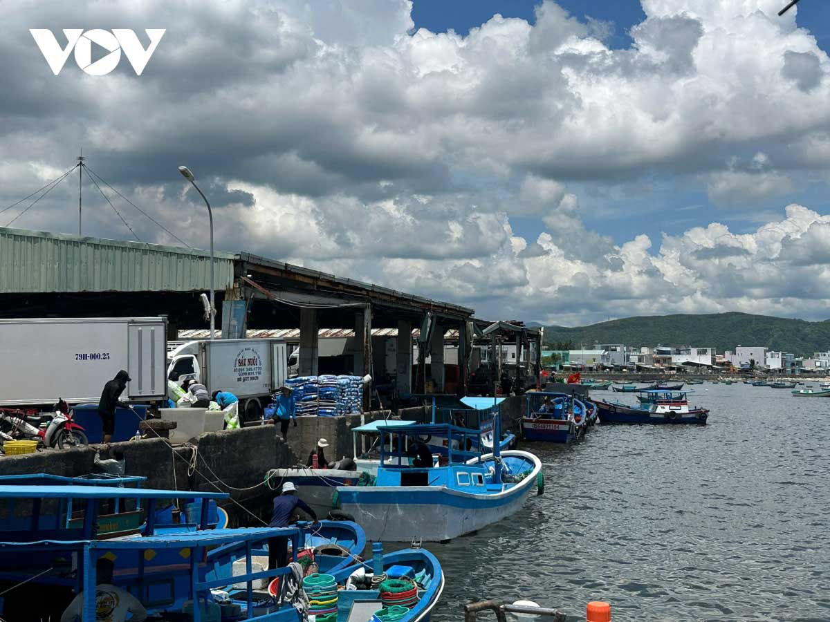 Từ sáng sớm, người dân đã có mặt tại cảng cá Dân Phước để chờ tàu về, chọn mua những mẻ cá tươi.

