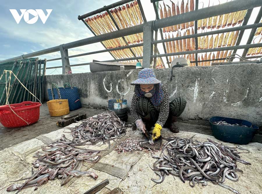 Cá đéc, loài cá quen thuộc của ngư dân địa phương chọn là nguyên liệu chính để làm cá khô.