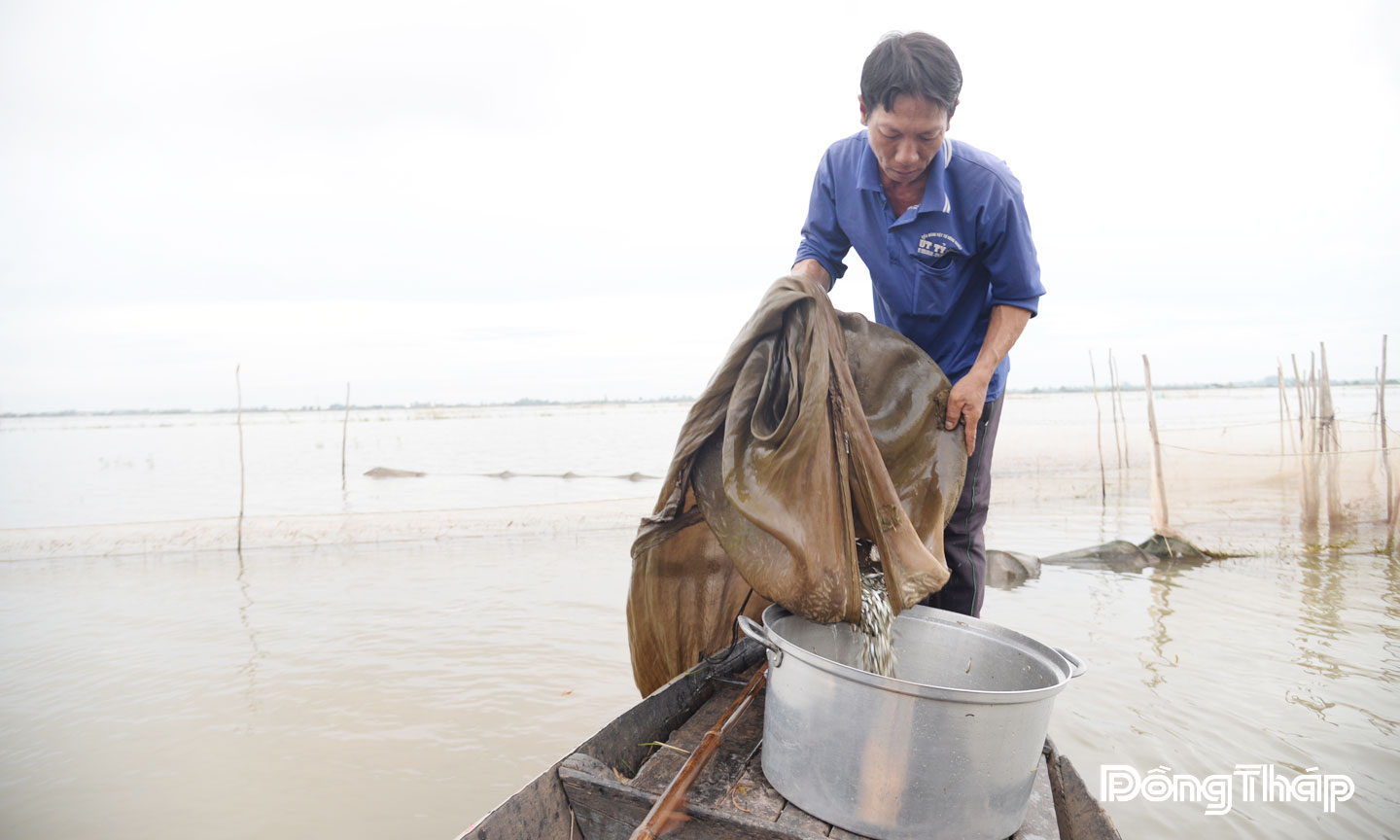 Anh Lê Văn Hải (ngụ ấp Giồng Bàng, xã Thường Phước) đầu tư 7 cái dớn khoảng 3 triệu đồng. Mỗi ngày, anh dỡ dớn được khoảng 100 kg cá các loại, thu nhập khoảng 500.000 đồng.