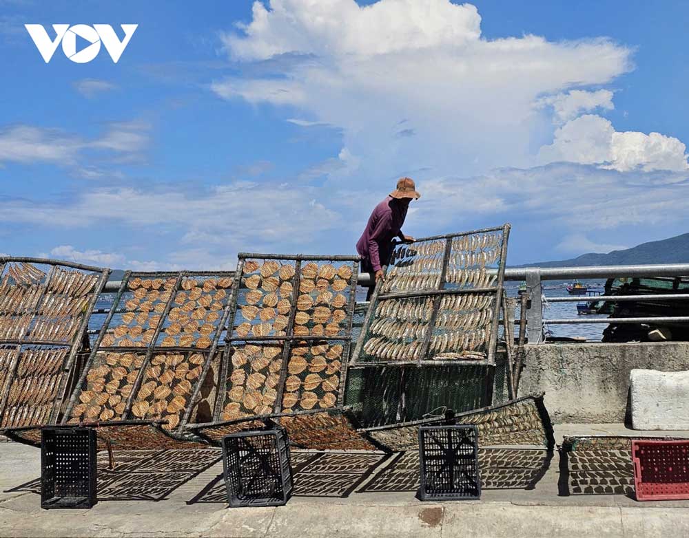 Dẫu nghề phơi cá khô nay không còn nhộn nhịp như trước, nhưng với những hộ dân gắn bó, đây vẫn là kế sinh nhai bền bỉ nơi bến cảng. Giữa nắng gió Xuân Đài, từng phên cá khô vẫn chất chứa công sức, niềm tin và tình yêu biển của người dân Dân Phước.