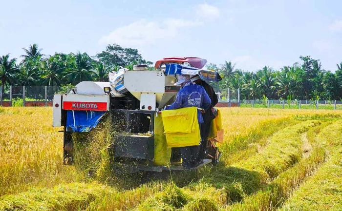 Đồng bộ giải pháp nâng cao chất lượng trồng trọt