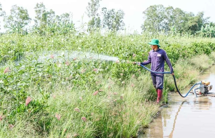 Hiệu quả các mô hình xây dựng nông thôn mới