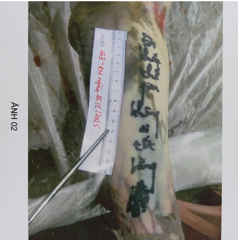 Ảnh nhận dạng.