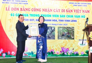 3 cây Gừa trăm tuổi ở xã Mỹ Chánh Hòa được công nhận Cây Di sản Việt Nam