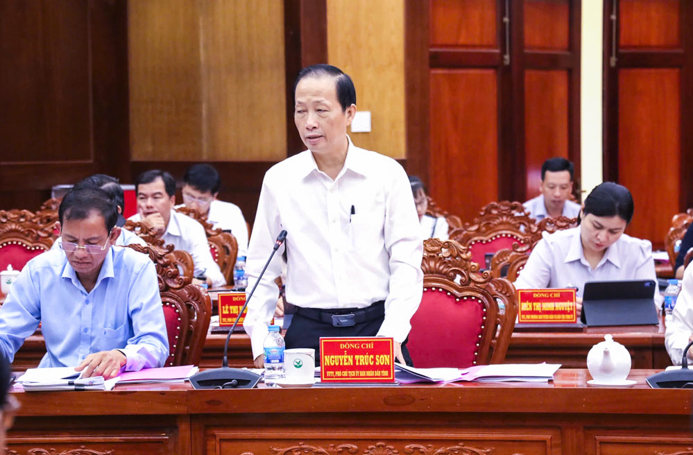 Uỷ viên Ban Thường vụ Tỉnh uỷ, Phó Chủ tịch UBND tỉnh Nguyễn Trúc Sơn đóng góp ý kiến tại hội nghị.