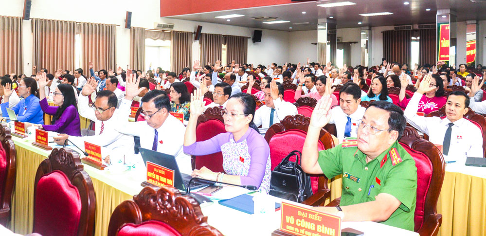 Đại biểu biểu quyết thông qua các nghị quyết.