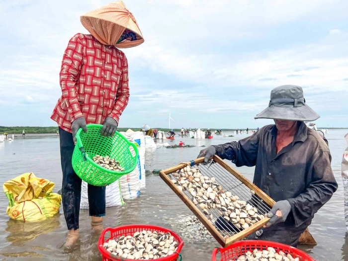 Phấn đấu xây dựng xã Thới Thuận đạt chuẩn đô thị loại V 