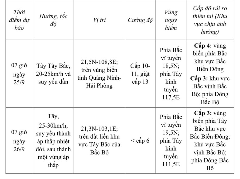 Dự báo tác động của bão