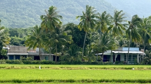 Bình minh hay hoàng hôn?