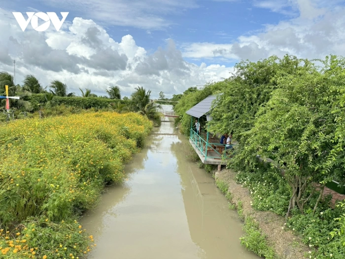 Vùng Châu thổ Cửu Long hành động vì tương lai xanh: Vùng Châu thổ Cửu Long hướng tới nền kinh tế “Net Zero