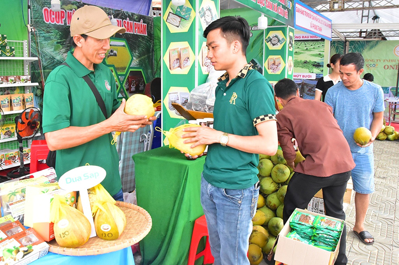 Trái dừa sáp luôn là lựa chọn của du khách mỗi khi đến vùng đất Cầu Kè.