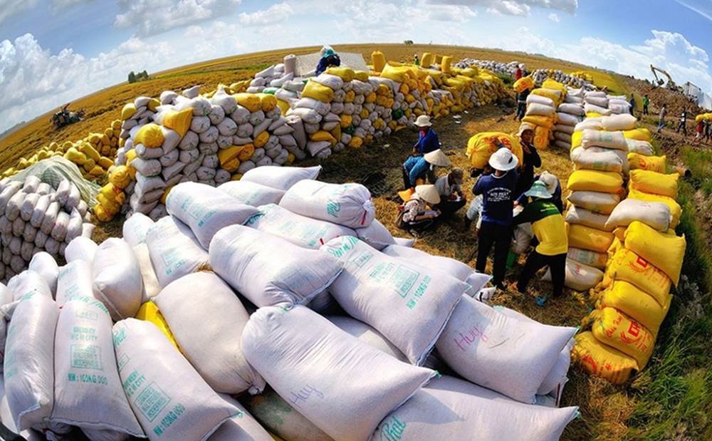 Thủ tướng yêu cầu tăng cường các giải pháp thúc đẩy sản xuất, xuất khẩu và ổn định thị trường gạo