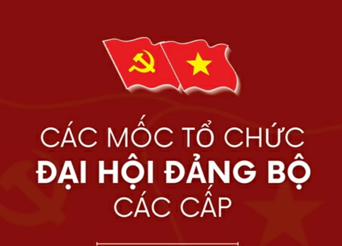 Lộ trình tổ chức Đại hội đảng bộ các cấp tiến tới Đại hội XIV của Đảng