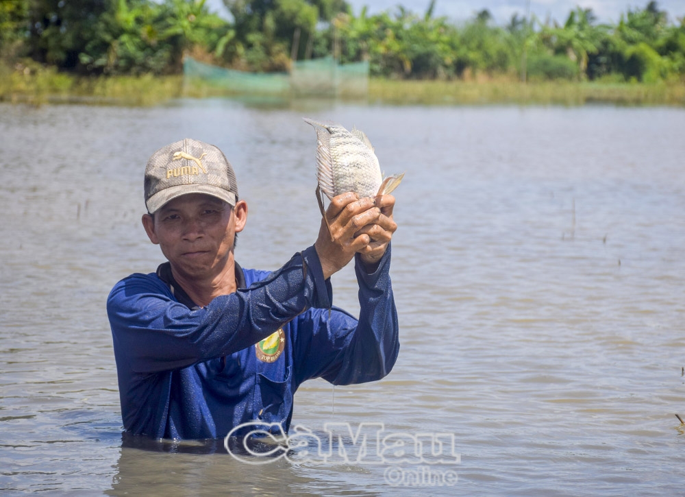 Ra đồng đẩy côn tre mỗi khi tới mùa, anh Quách Chí Hướng chủ yếu bắt cá lớn bán kiếm thêm thu nhập, còn cá nhỏ sẽ thả lại, gây giống cho mùa sau.