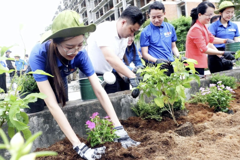 Bạn trẻ TP.HCM cùng trồng hoa làm đẹp đường phố, khu dân cư - Ảnh: K.ANH