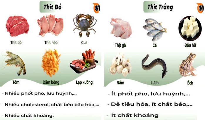 Ăn thịt đỏ vừa phải giúp duy trì chế độ ăn cân bằng, lành mạnh