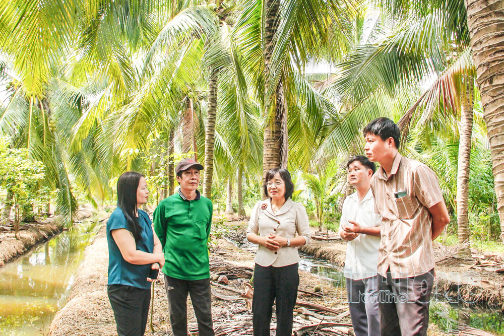 Là người nhiều năm gắn bó với ngành nông nghiệp, Bí thư Đảng ủy xã Quới An Lê Thị Thanh Vân (giữa) đã chỉ đạo đưa nghị quyết vào đời sống bằng kinh tế xanh, kinh tế tuần hoàn. Ảnh: THÚY QUYÊN

