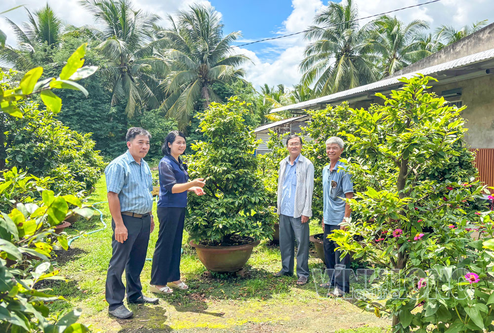 Bí thư Đảng ủy xã Chợ Lách Lê Thị Hoàng Oanh (thứ 2, bên trái) bày tỏ quyết tâm xây dựng xã Chợ Lách là trung tâm vùng cây giống, hoa kiểng chất lượng cao, kinh tế vườn theo hướng thông minh. Ảnh: XUÂN TƯƠI

