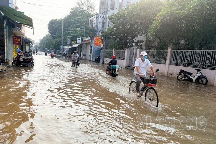Chủ động phương án ứng phó triều cường