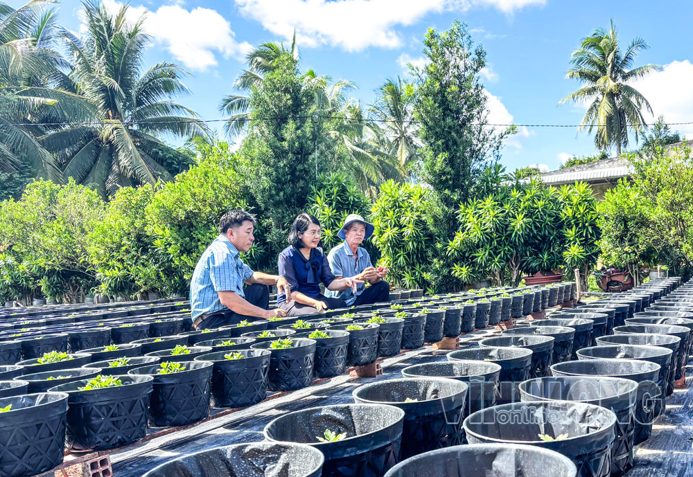 Đồng chí Lê Thị Hoàng Oanh- Bí thư Đảng ủy xã Chợ Lách (giữa) đã truyền cảm hứng chuyển đổi số cho cán bộ và người dân địa phương. Ảnh: XUÂN TƯƠI

