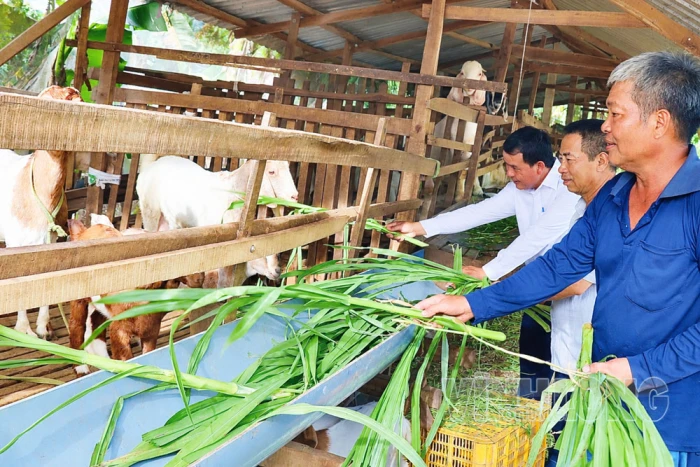 Châu Thành chú trọng công tác xây dựng Đảng gắn với phát triển kinh tế