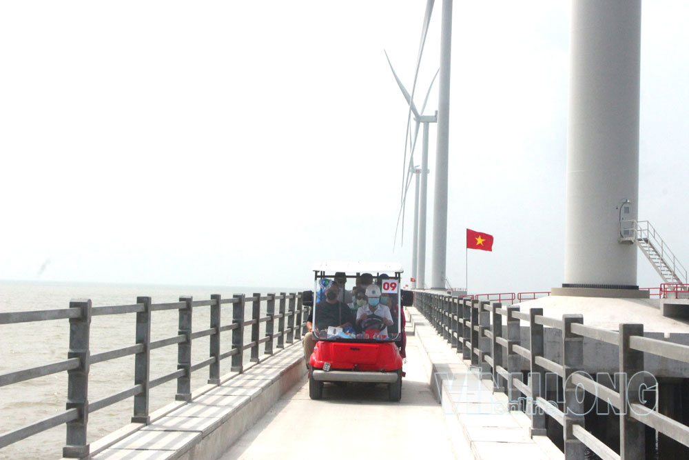 Mô hình du lịch điện gió xã Vĩnh Hậu, tỉnh Cà Mau.

