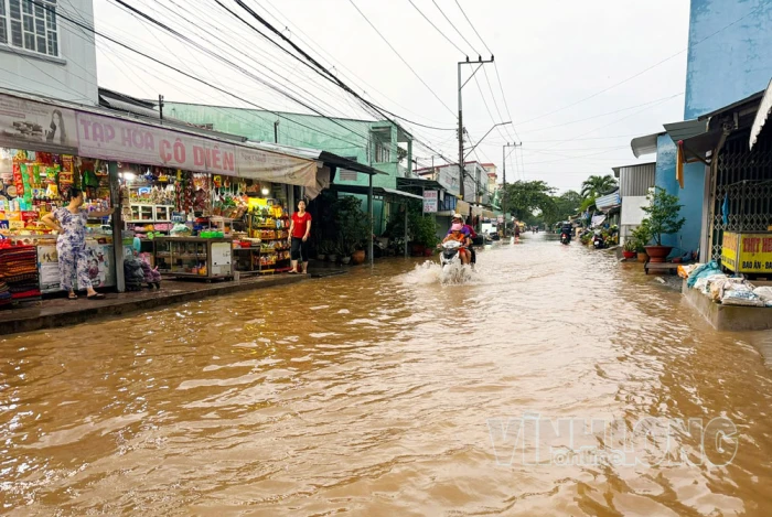 Chủ động ứng phó triều cường và nguy cơ sạt lở
