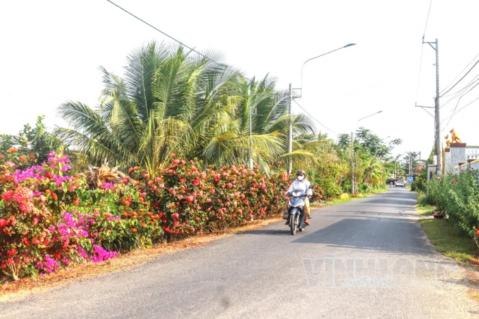 An Bình nâng chất tiêu chí, phấn đấu đạt chuẩn xã nông thôn mới