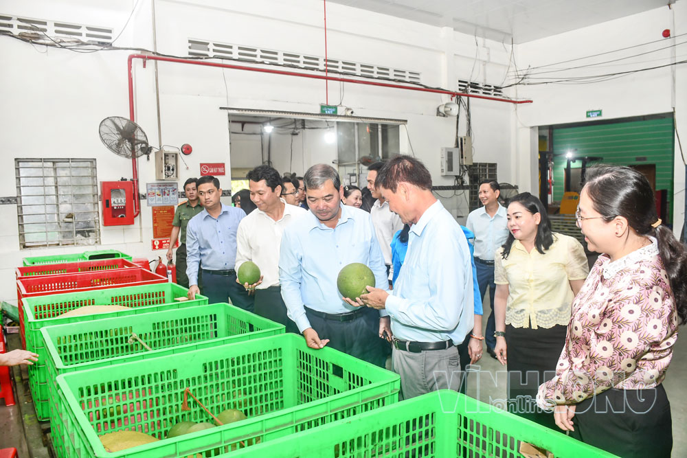 Đồng chí Kim Ngọc Thái - Phó Bí thư Tỉnh ủy, Chủ tịch Ủy ban MTTQ Việt Nam tỉnh tham quan quy trình đóng gói tại Công ty TNHH MTV Xuất nhập khẩu nông sản Hương Miền Tây.

