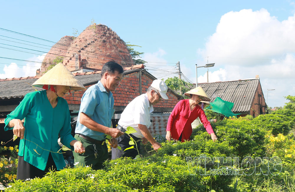 Người cao tuổi ấp Chợ (xã Nhơn Phú) chăm sóc đường hoa, làm đẹp cảnh quan nông thôn.

