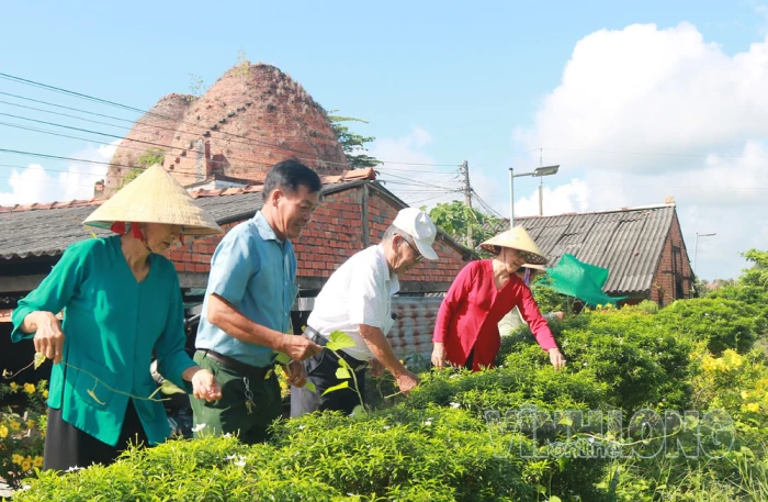 Quan tâm chăm sóc người cao tuổi trong bối cảnh già hóa dân số