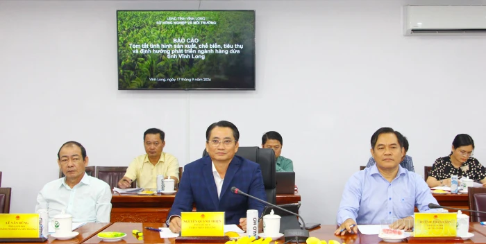 Phó Chủ tịch UBND tỉnh Nguyễn Quỳnh Thiện tiếp và làm việc với doanh nghiệp Nhật Bản về phát triển dừa phát thải thấp