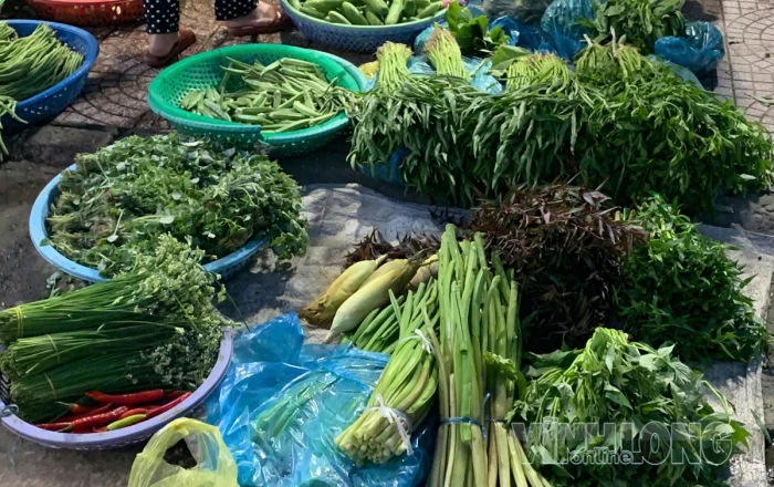 Mưa lớn kéo dài, giá rau tăng nhẹ